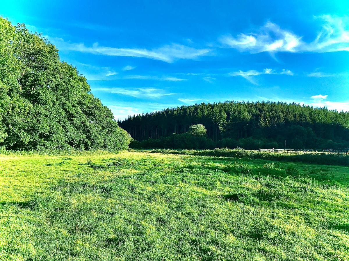 Roosters Retreat Villa Launceston Dış mekan fotoğraf